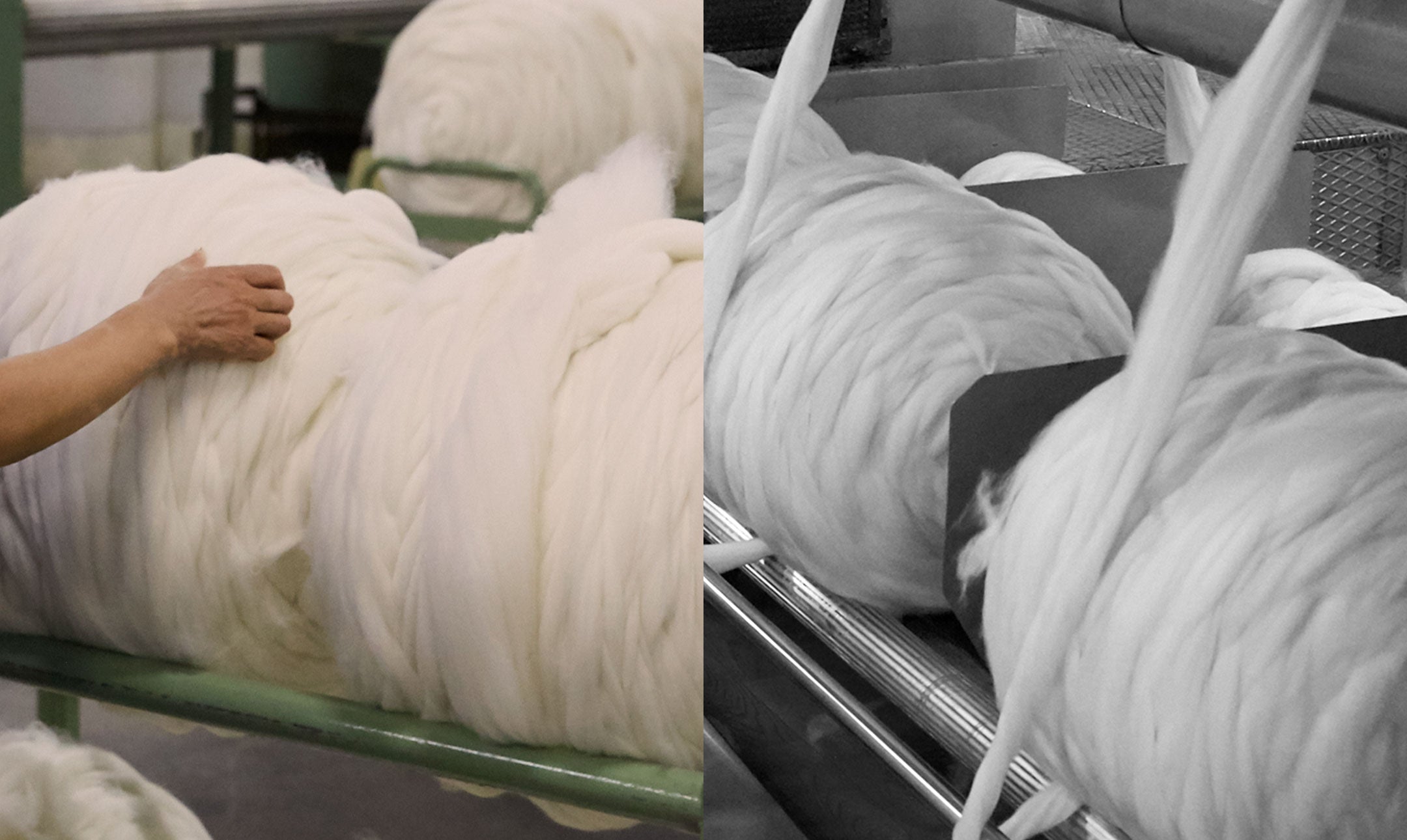 Merino Wool Experts Toorallie Australia